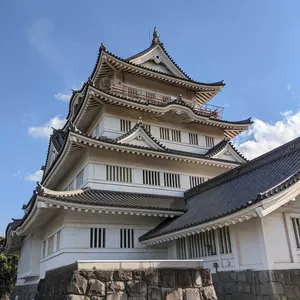 Episode 29
