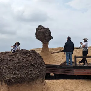 Episode 195